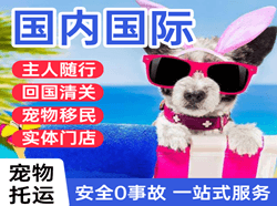 滋润空运代理国际宠物托运 【国